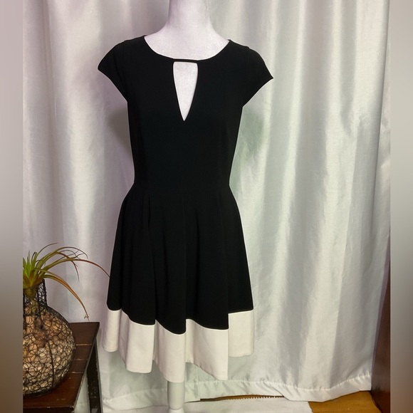 Halston Heritage Fit & Flare Dress - Picture 1 of 12
